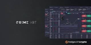 Primexbt vs Pocket Option An In-Depth Comparison of Two Leading Trading Platforms Primexbt vs Pocket Option An In-Depth Comparison of Two Leading Trading Platforms