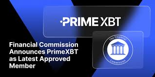 A Comprehensive Guide to PrimeXBT Trading